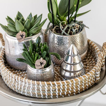 Kolibri Home | Elite silver pot - Ø9cm
