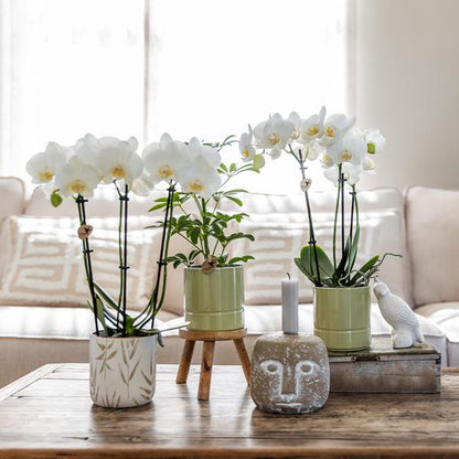 Kolibri Home | Leaf pot green - Ø9cm