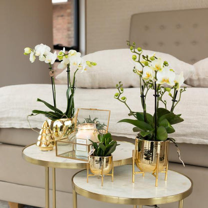 Kolibri Home | Ornament - Decoratie beeld Kerstboom - 12cm hoog - Gold