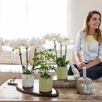 Kolibri Home | Leaf pot green - Ø9cm