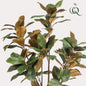 Kunstplant - Magnolia Grandiflora - 150 cm